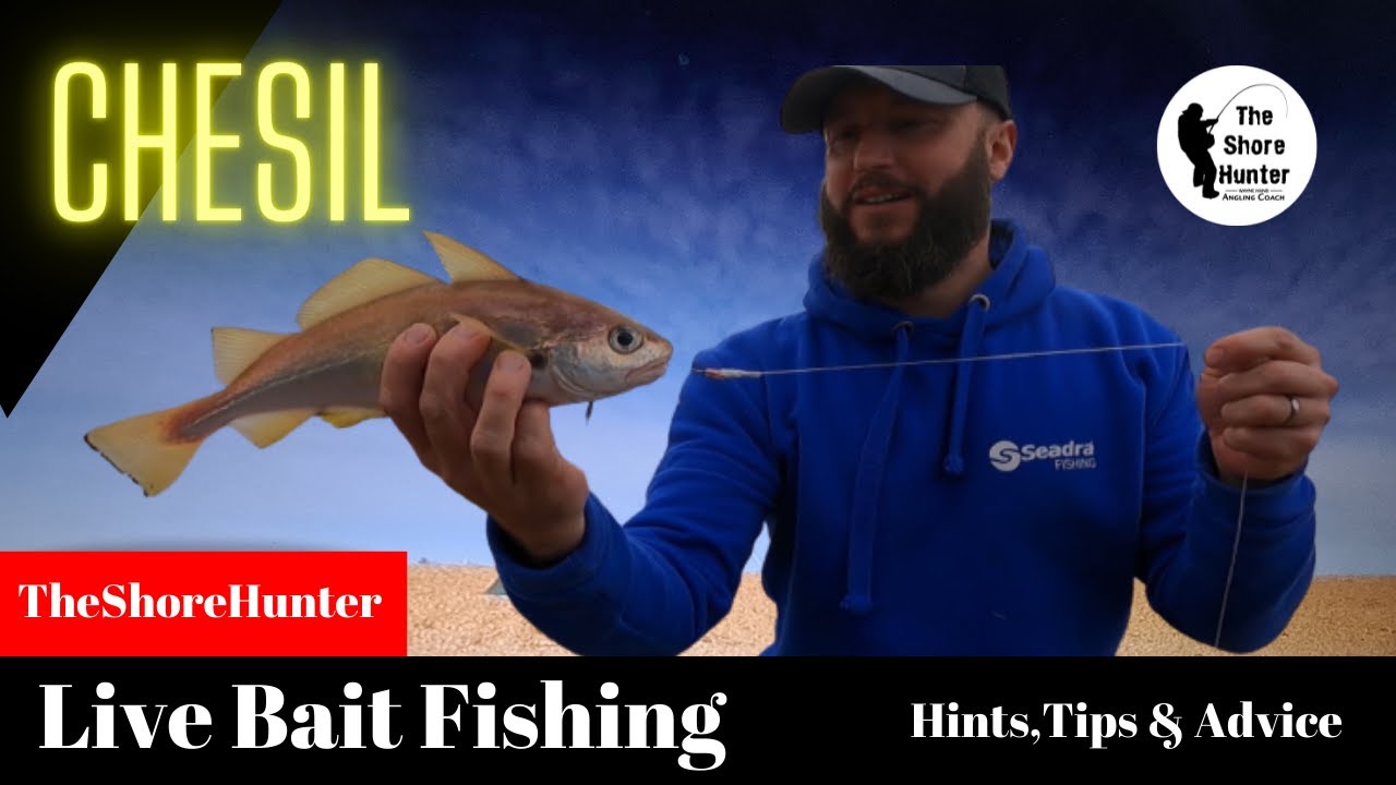 Live bait Fishing Chesil Beach Dorset Cod Fishing Shore Beach Angling Dorset Hints Tips & Advice