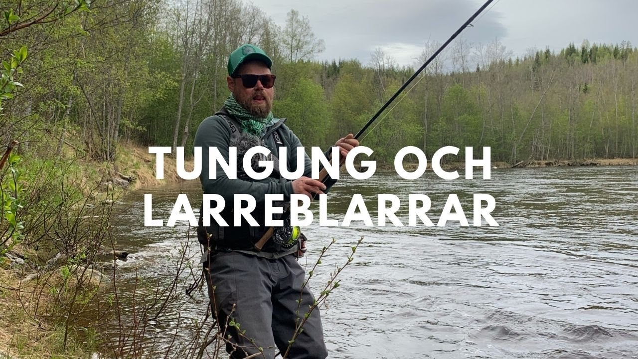 VLOG - TUNGUNG OCH LARREBLARRAR