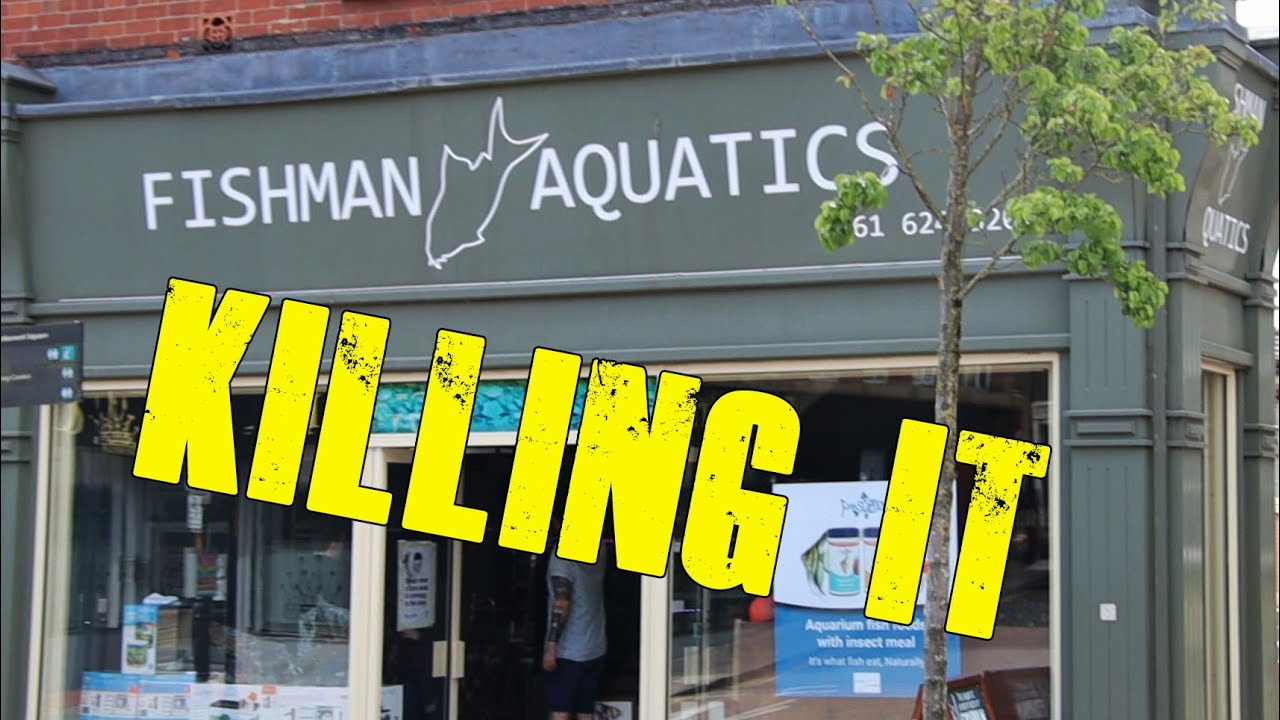 Fishman Aquatics - UK Local Fish Store tour & interview!