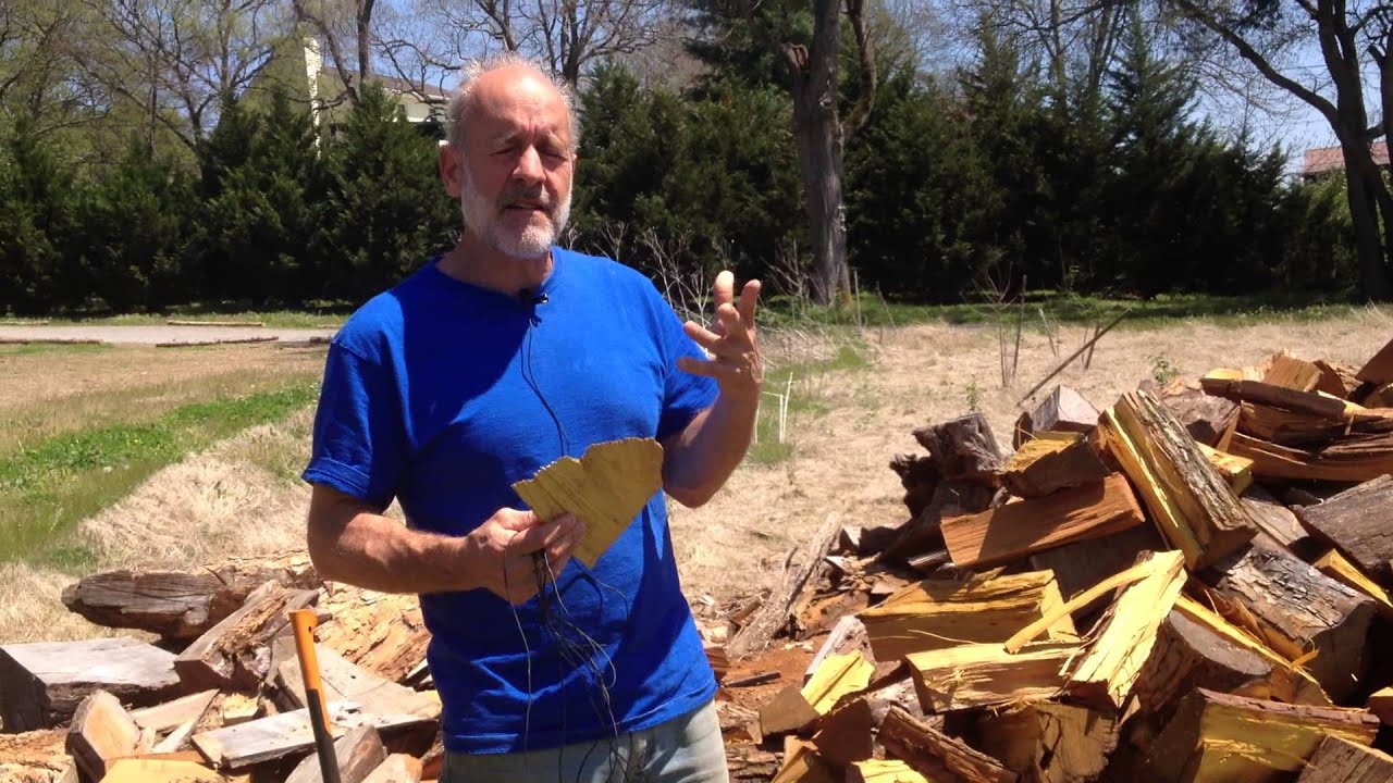Osage Orange Firewood,  April 17, 2014