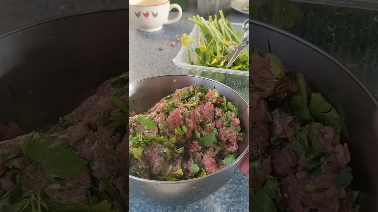#cats #dog  #cuteanimal #funnyvideo #travel #trip#food #restaurant#做牛肉餡餅