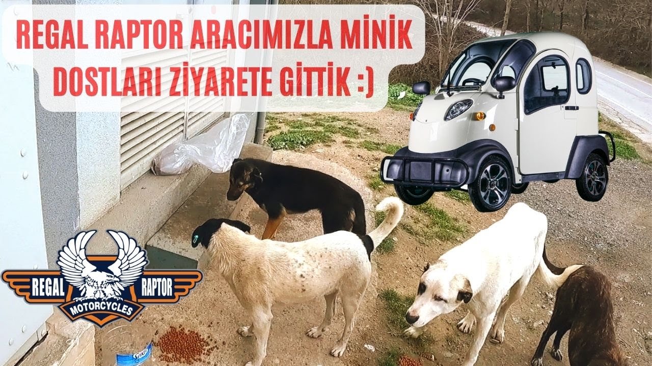 REGAL RAPTOR K5 LONG ARACIMIZLA MİNİK DOSTLARIMIZI ZİYARETE GİTTİK :)