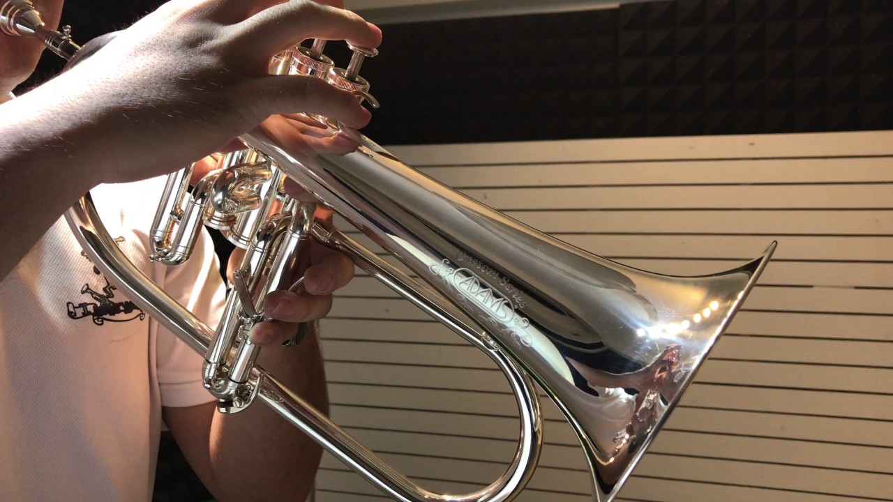 You Raise Me Up (Trumpet Cover)