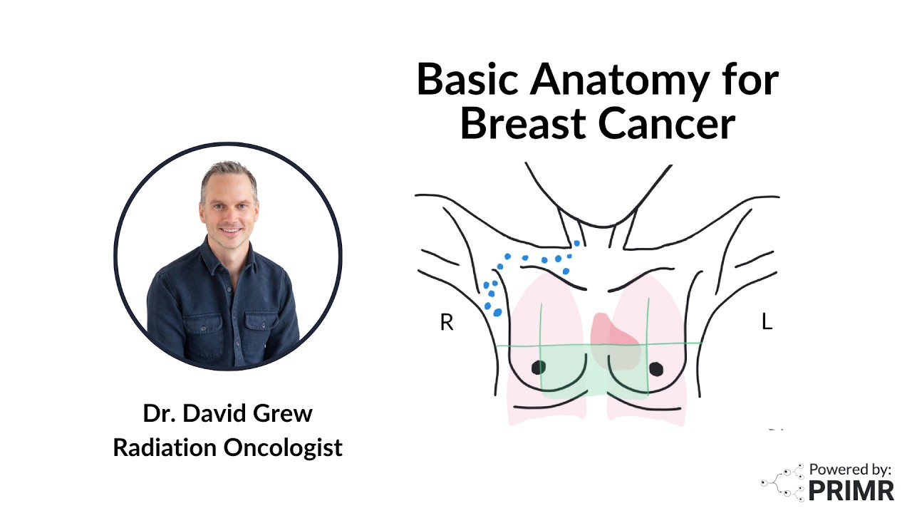 Basic Anatomy for Breast Cancer