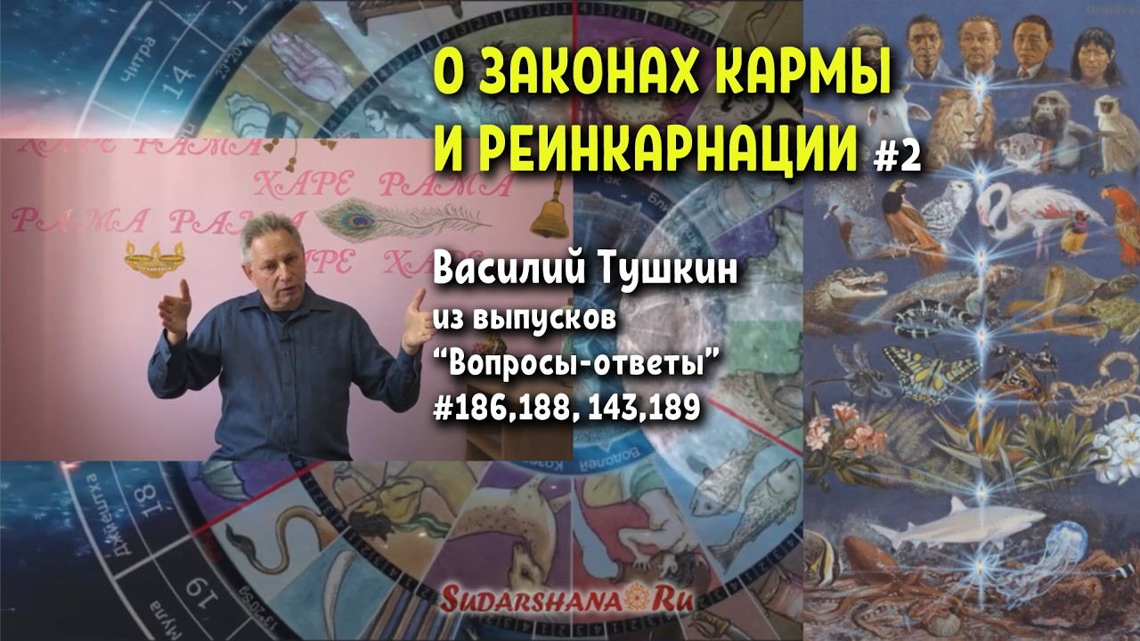 Вопросы #2 о законах кармы и реинкарнации - Василий Тушкин