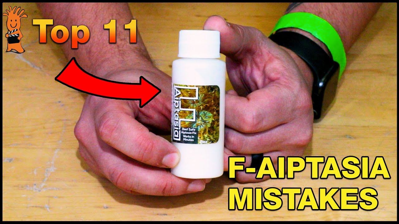 Try These F-Aiptasia Tips to Help Make Aiptasia Removal From Your Reef Tank a Success!