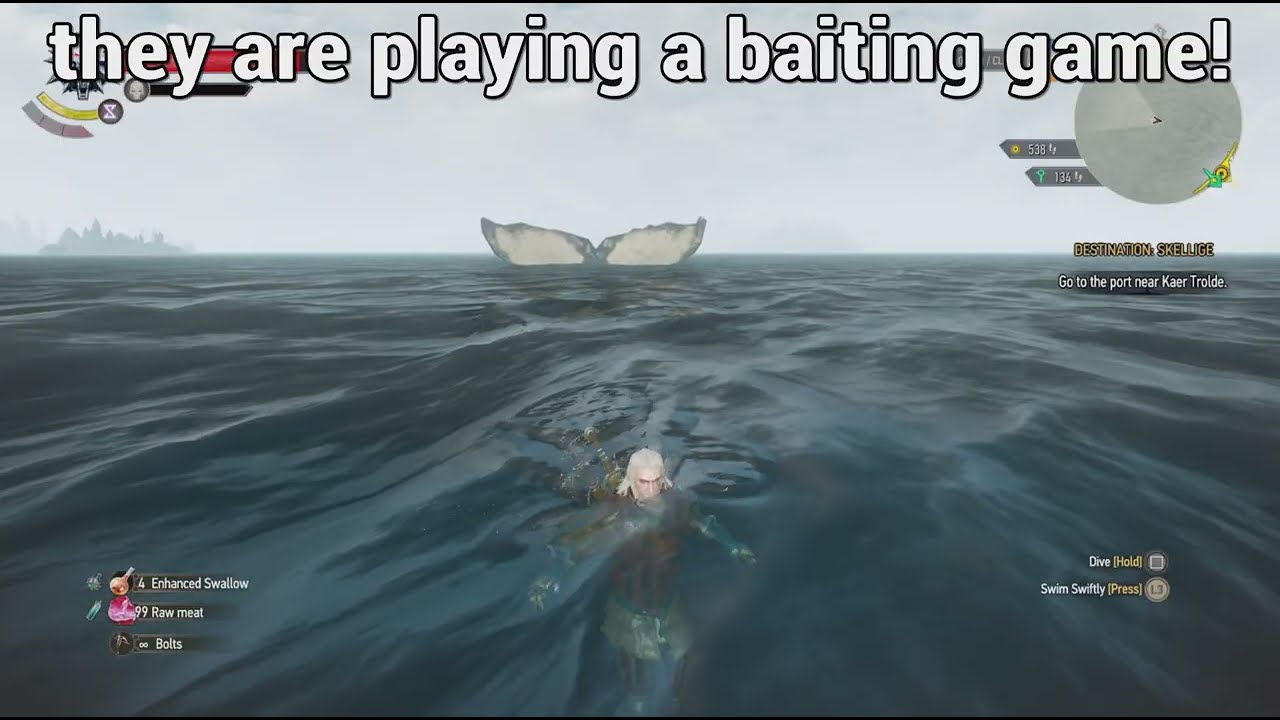 Witcher 3 - whales are baiting Gerald