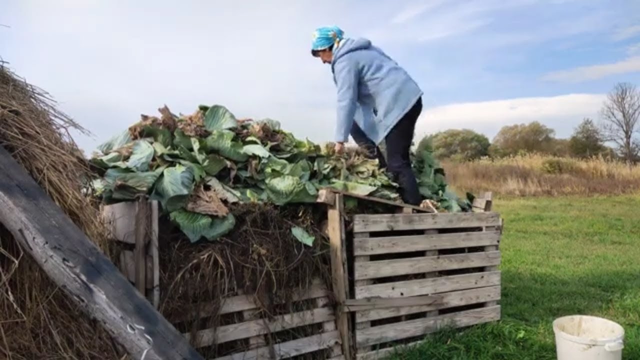 Урожай капусты и танцы с бубнами/НАТАЛИЯ БОС