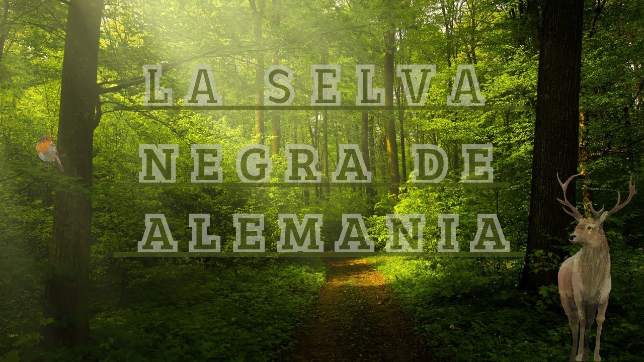 #documental