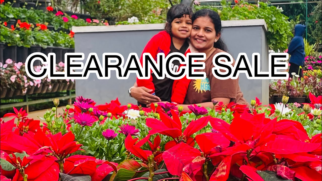 250 പെട്ടെന്ന് കാലിയാകും #clearancesale #fashion #shopping #kurti #onlineshopping #trending 