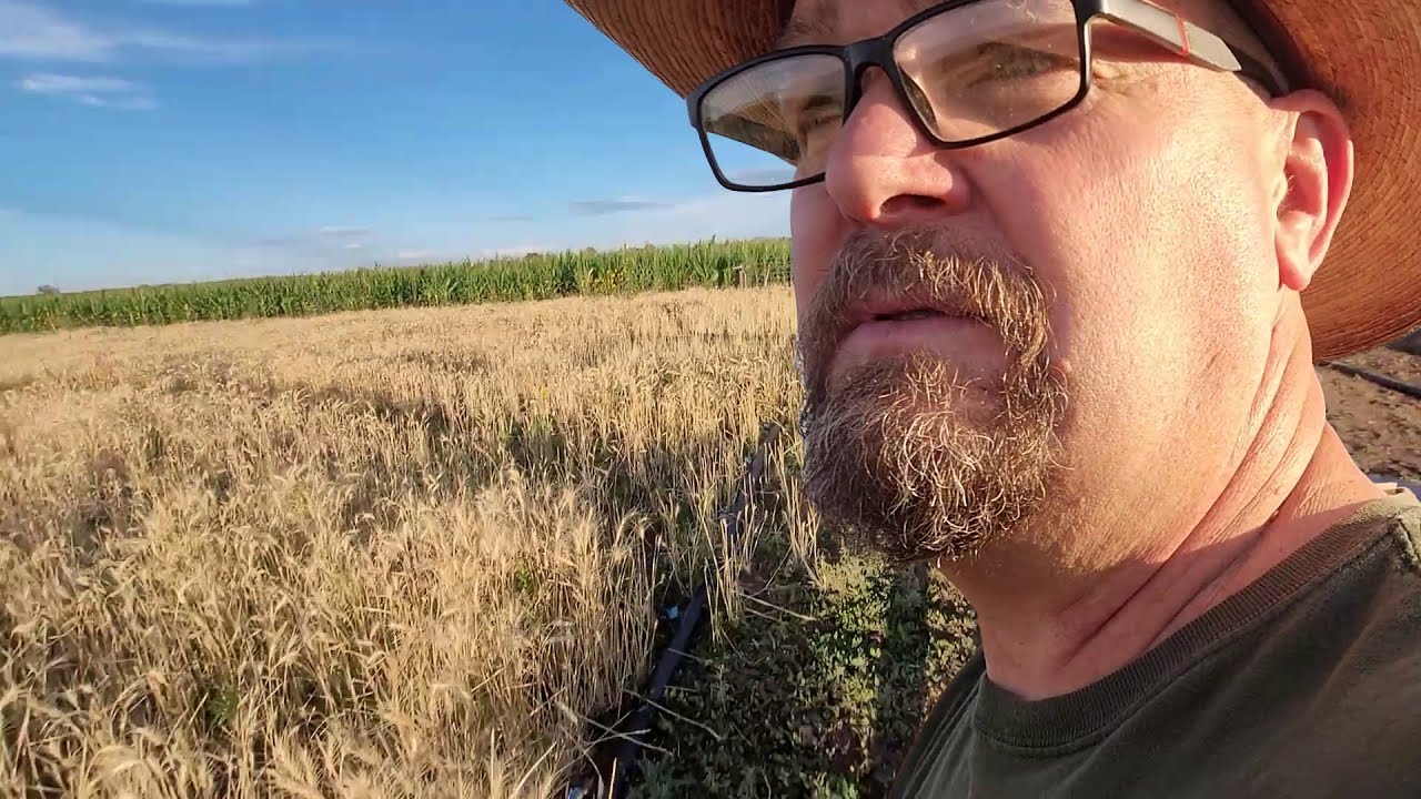 So Much Is Changing on the Farm…