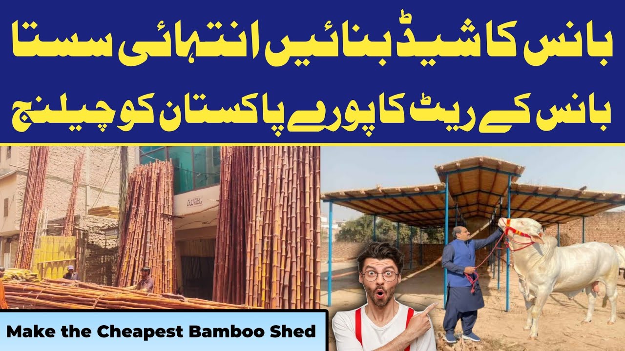 Bans (Bamboo) Se Sasta Treen Animals Shed Banaen 🐄🐂