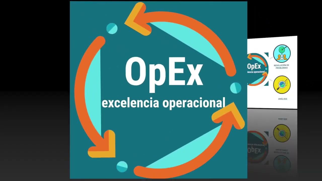 Qu&eacute; es la Excelencia Operacional?