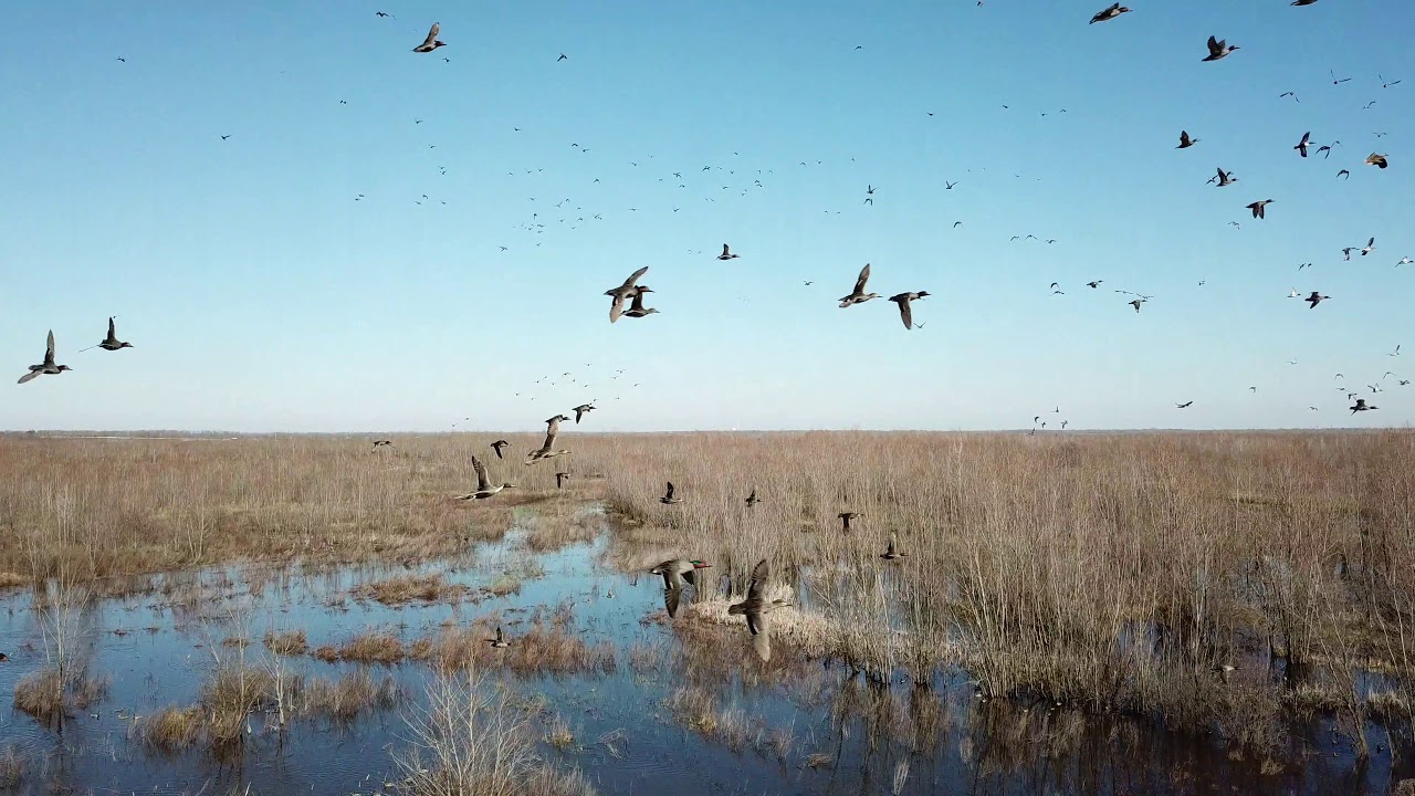 The Mud Flat 2019 Drone Video