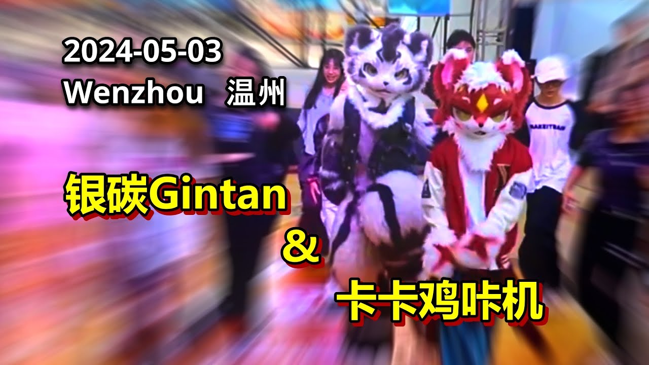 【Fursuit Dance】 银碳Gintan & 卡卡鸡咔机 - Random Dance in Wenzhou 2024-05-03 (Full cut)