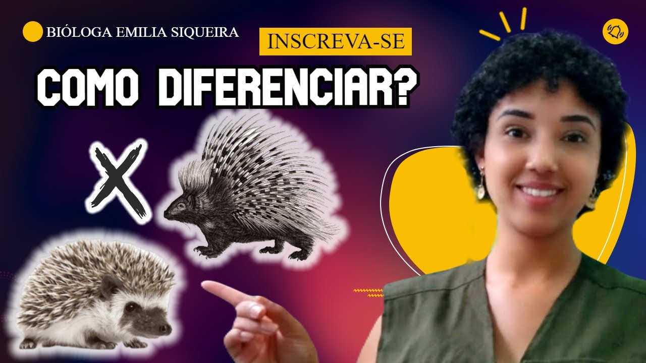 🦔Ouriço x Porco Espinho Entenda as Diferenças | Bióloga Emilia Siqueira
