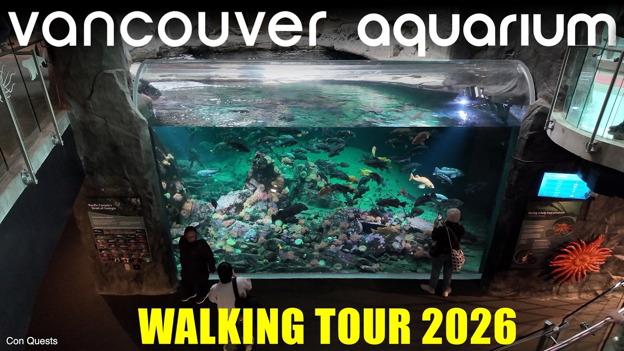Vancouver Aquarium - Walking Tour - Full Walkthrough - 2026 - Dragons - Amazing Axolotls - Octopus