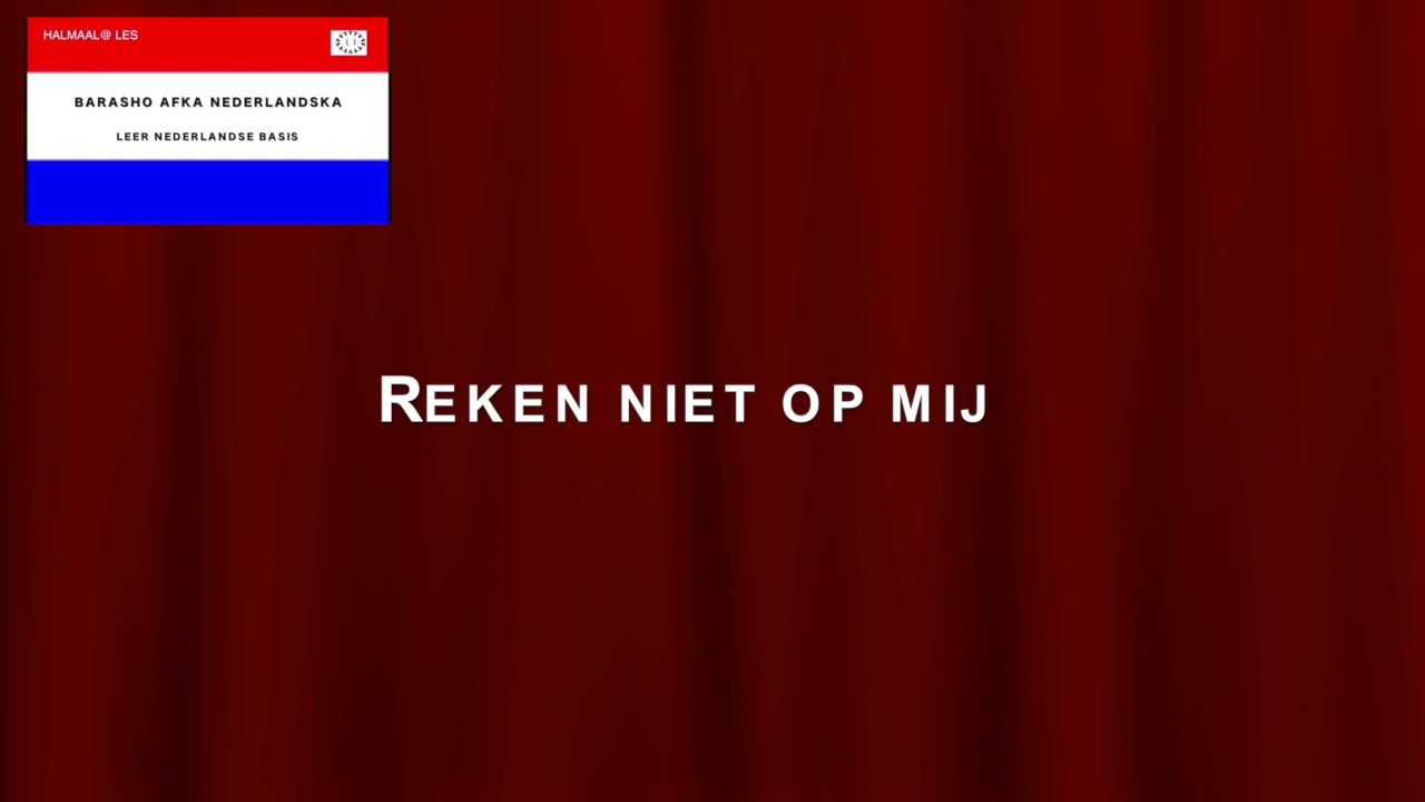 Les 8 Dagelijkse Nederlandse Zinnen