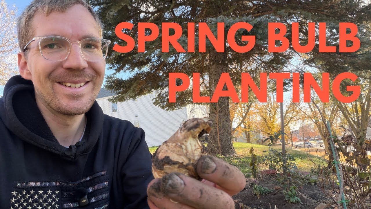 Easy Spring Bulb Planting