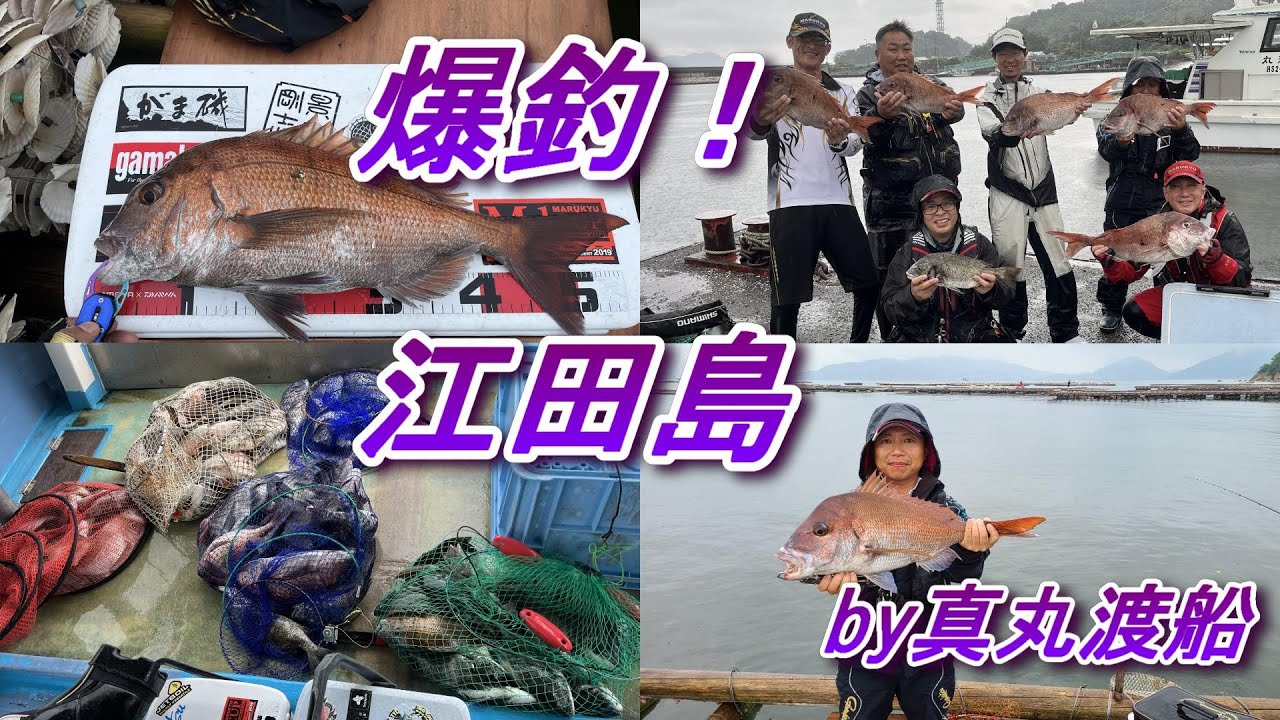江田島の筏　皆で大爆釣！！