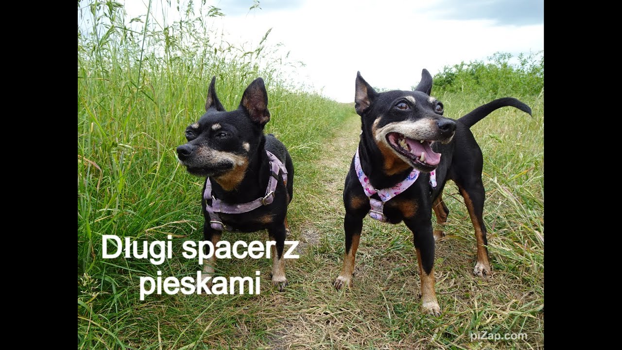 Haul dla Mai z Kakadu