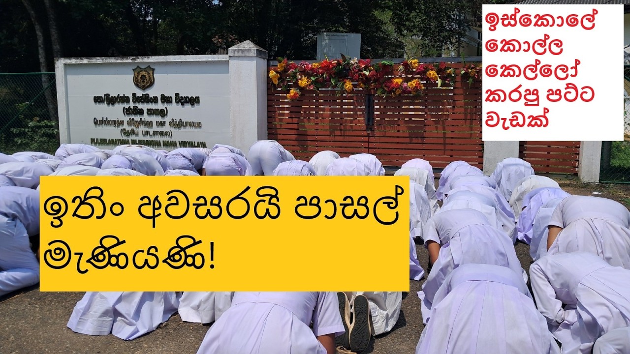 දිඹුලාගල අධ්‍යාපන කලාපයට අයත් ලීලාරත්න විජේසිංහ මහා විද්‍යාලයේ සිසුන් පිරිසක් කල වැඩක්