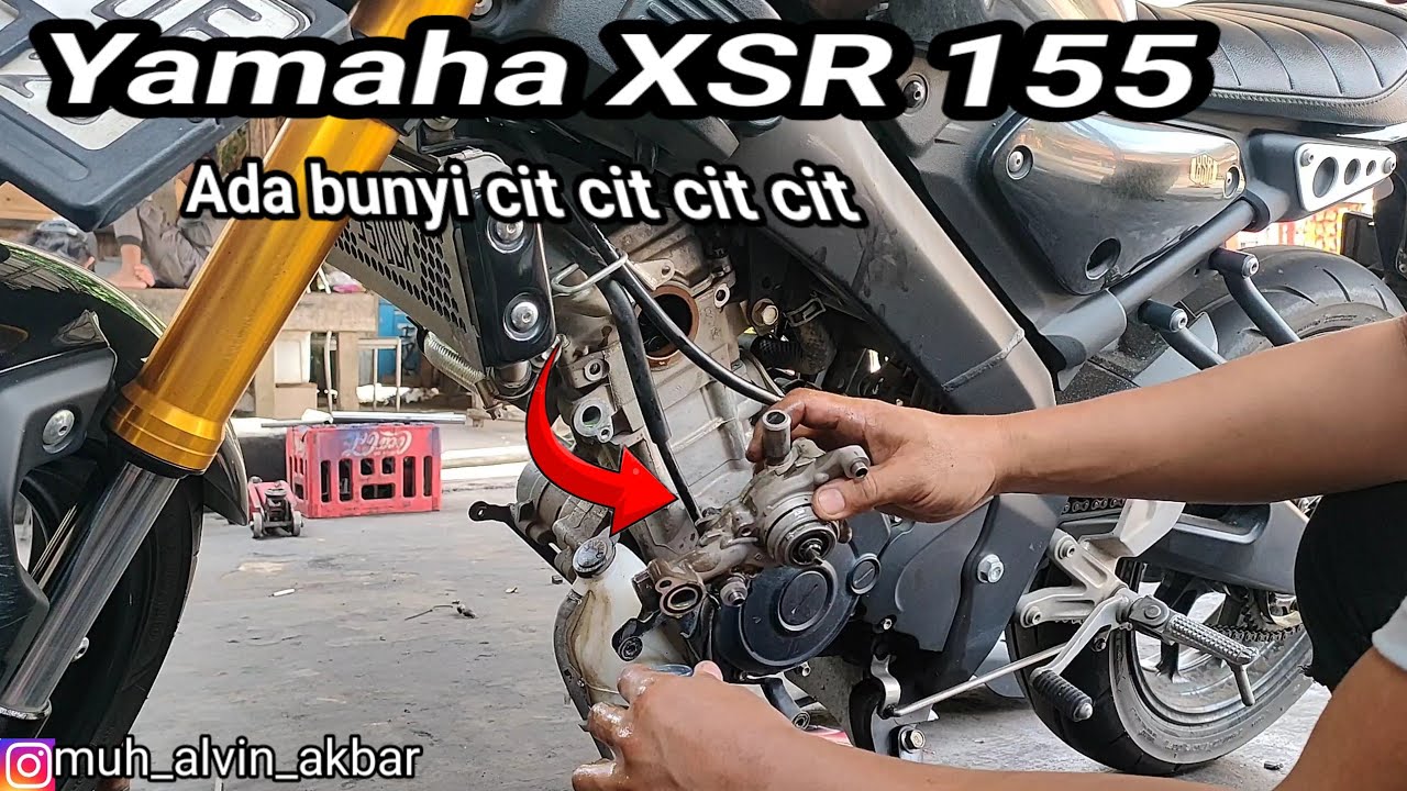 Yamaha XSR , ganti Seal waterpump, filter oli,gear set, kampas rem belakang