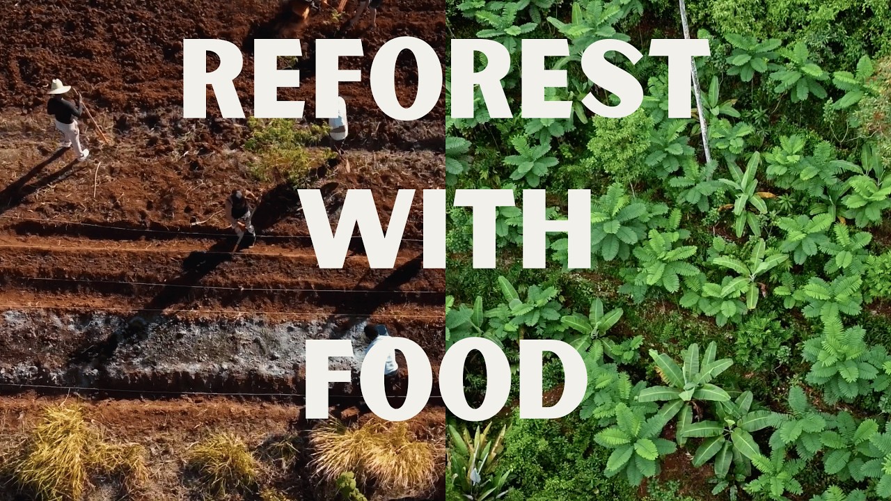Permaculture Design & Food Forests in Costa Rica