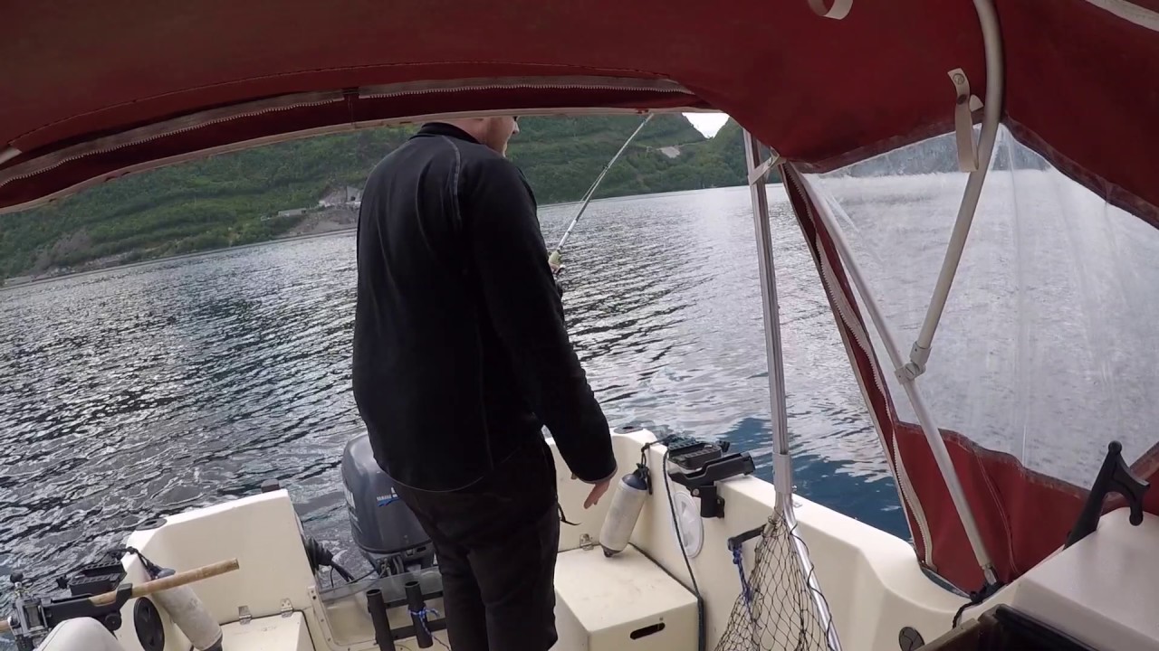 Laks på dorging Dirdal Høgsfjorden 4,6kg 2017
