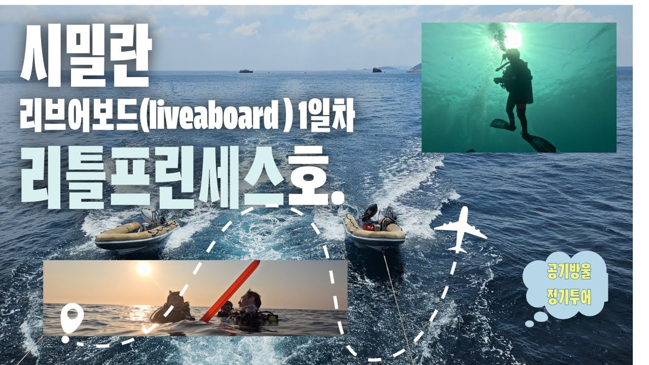 태국 푸껫 시밀란 리브어보드 1일차 리틀프린세스 #리브어보드 #시밀란 #리틀프린세스 #스쿠버다이빙 #해외다이빙 #태국여행 #안다만 #노스안다만