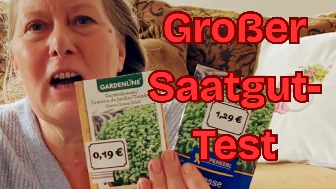 Discounter Saatgut vs. Markenware &ndash; Lohnt sich der Aufpreis? | Aldi & Lidl und Co im Test