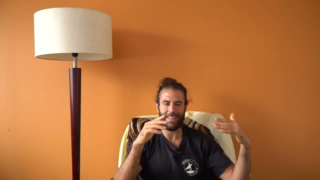 Discovery Dojo - Meditations by Marcus Aurelius