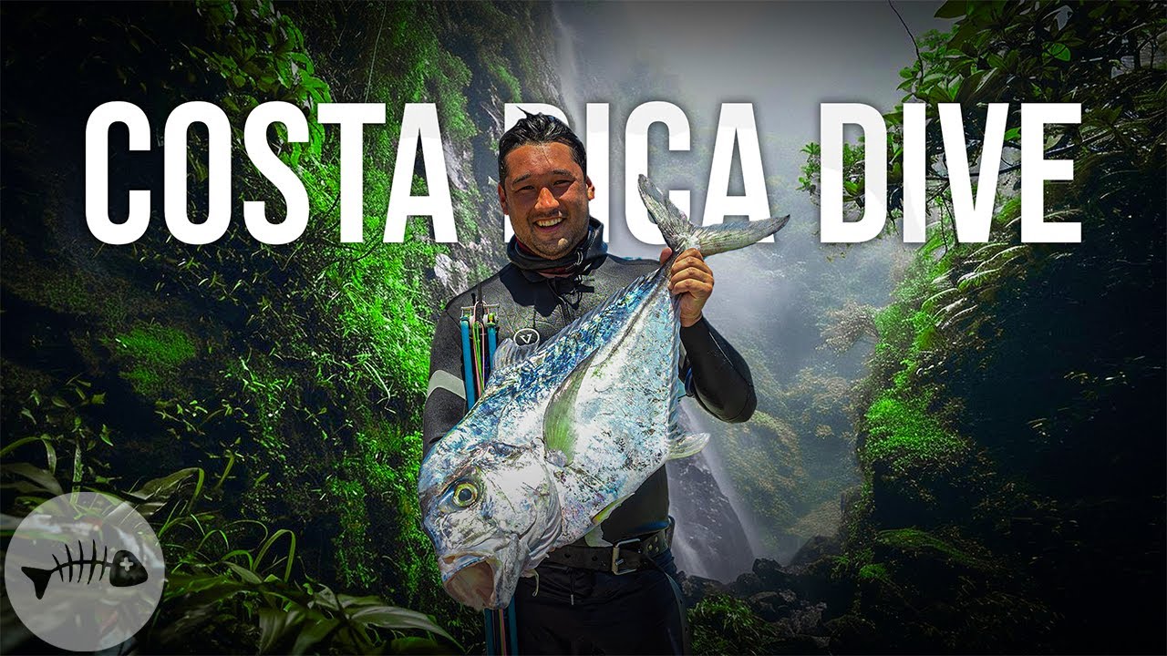 Spearfishing The Costa Rica Jungle For Ceviche Dinner
