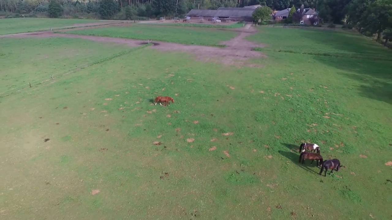 Paardenrusthuis van der Kruis 2016 09 18