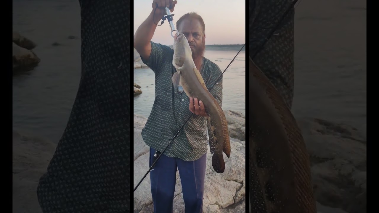 snake head hunting short #fishing #fish #MURAL FISHING