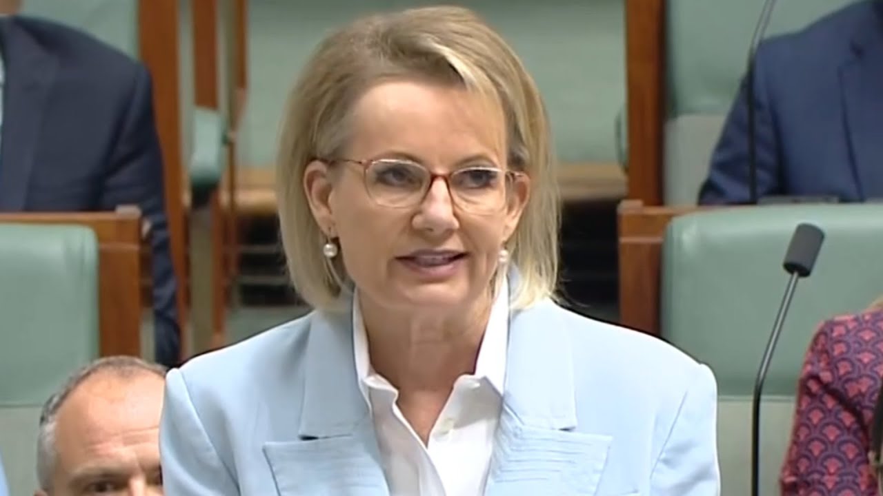 Liberals afraid they are ‘too right wing’ despite losing voters to One Nation