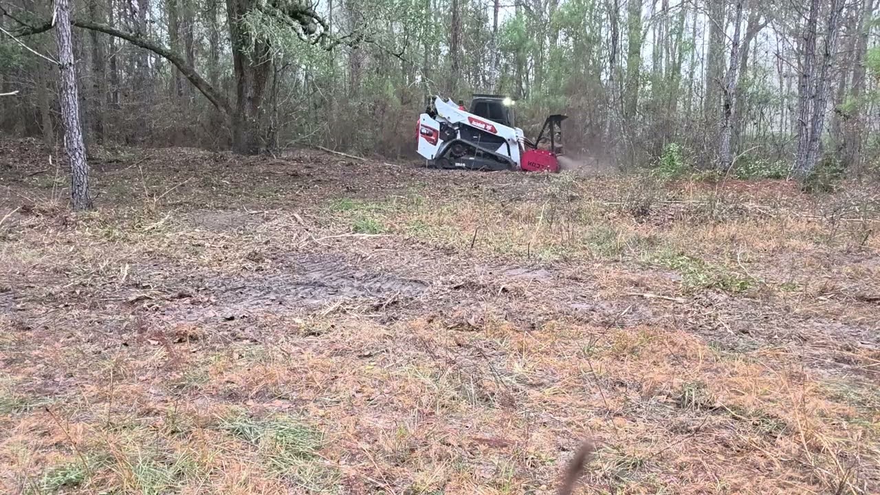 My life! Keep Grinding! Love the woods!