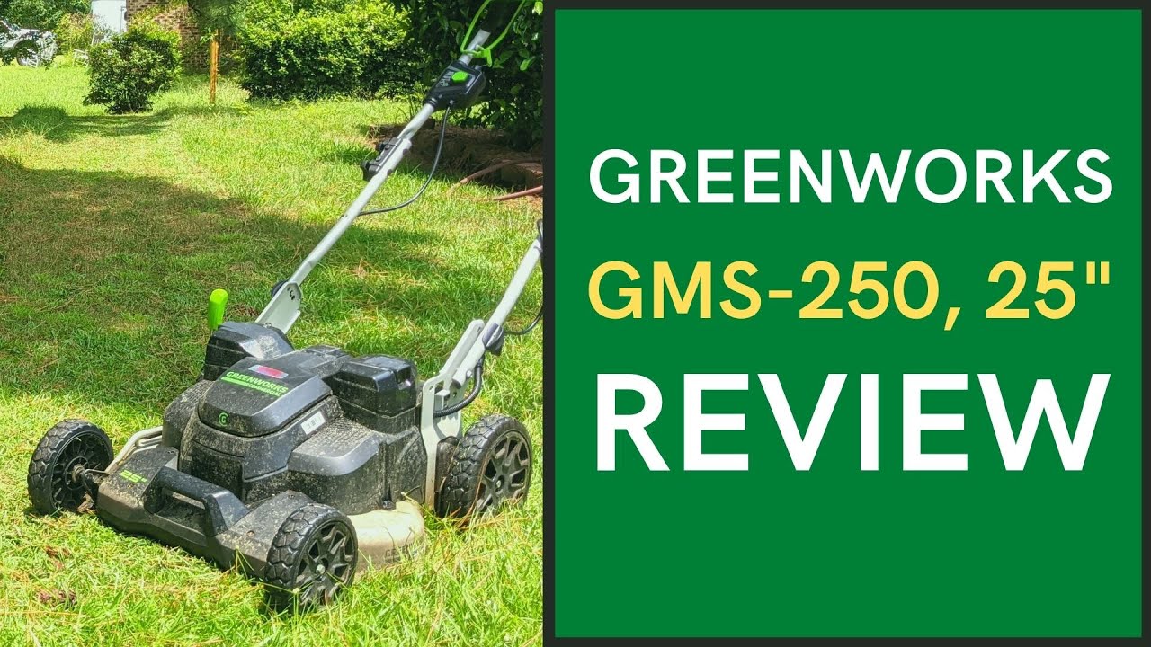 Greenworks GMS-250 25