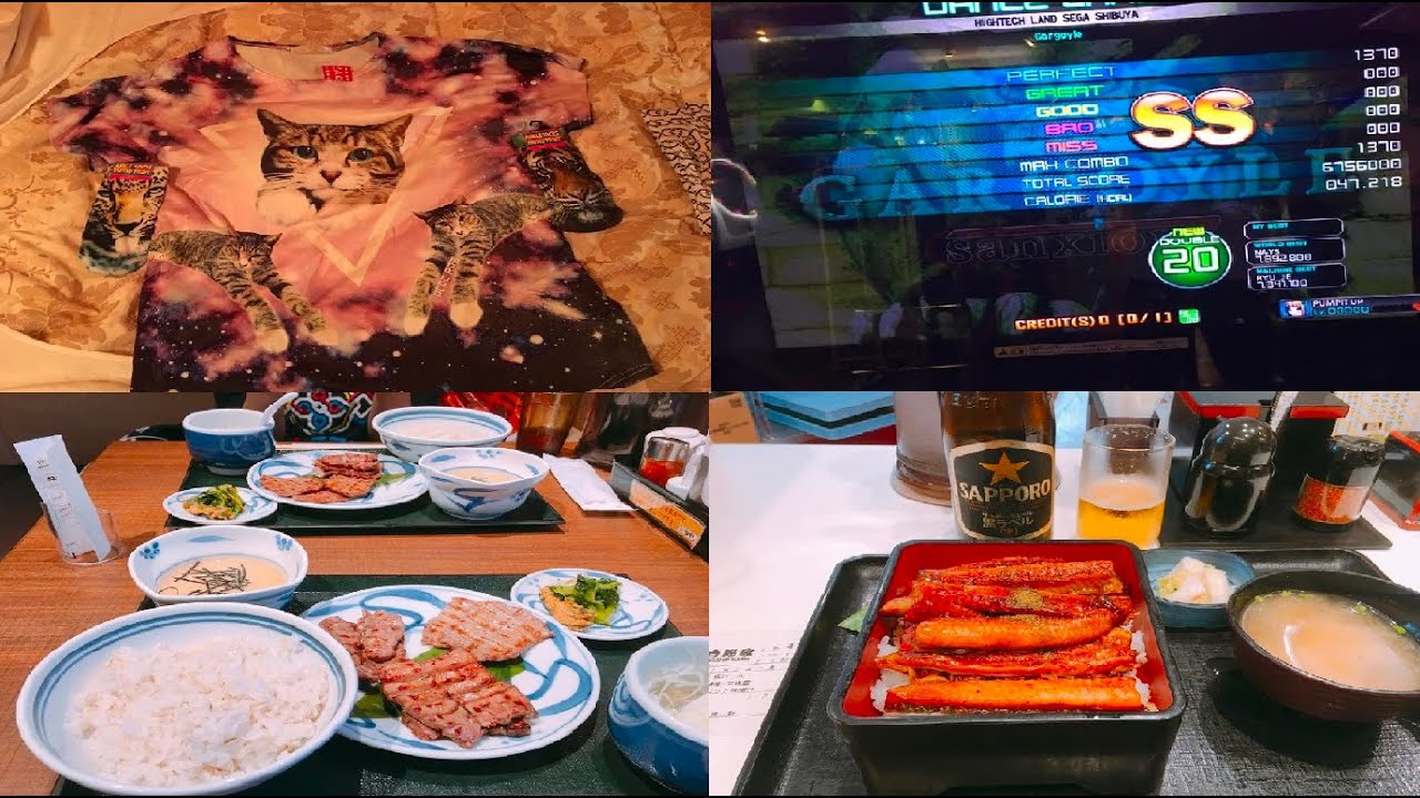 TigerYK의 해외여행기 1탄 (2016년 도쿄 3박4일)