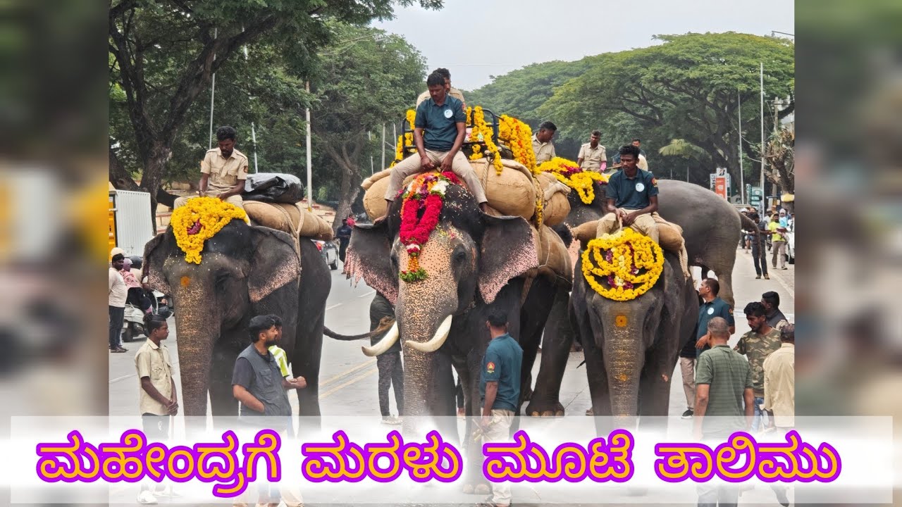 ವೈಸ್ ಕ್ಯಾಪ್ಟನ್ ಮಹೇಂದ್ರ ಆನೆಗೆ ಮರಳು ಮೂಟೆ ತಾಲೀಮು ಯಶಸ್ವಿ ನೋಡಿ ಸೂಪರ್ ..ಹೇಮಾವತಿ❤️ ಗೋಪಿ ವಿಶ್ರಾಂತಿ🫡