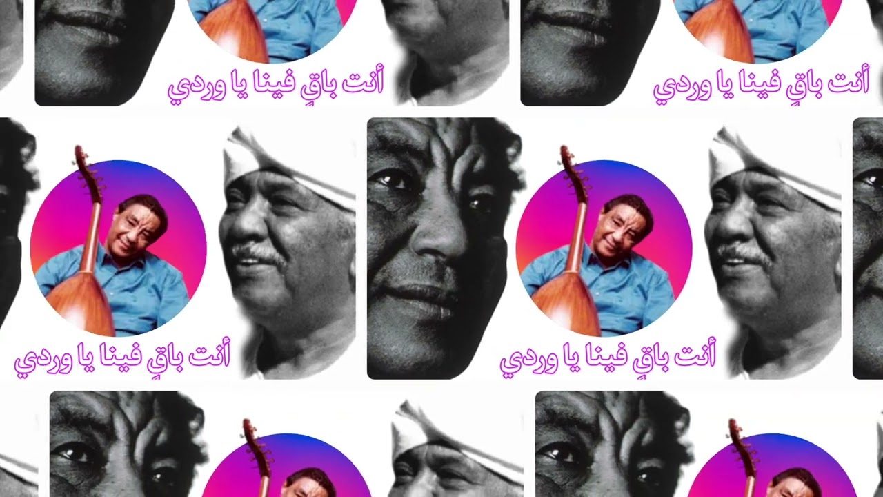 الأستاذ محمد وردي جميلة ومستحيلة