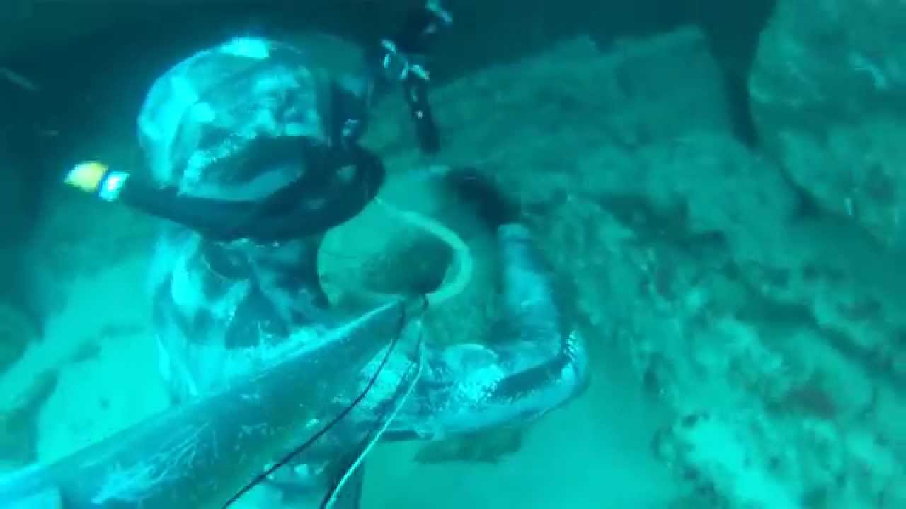 Algarve Spearfishing Diaries VIII - One day in Sagres