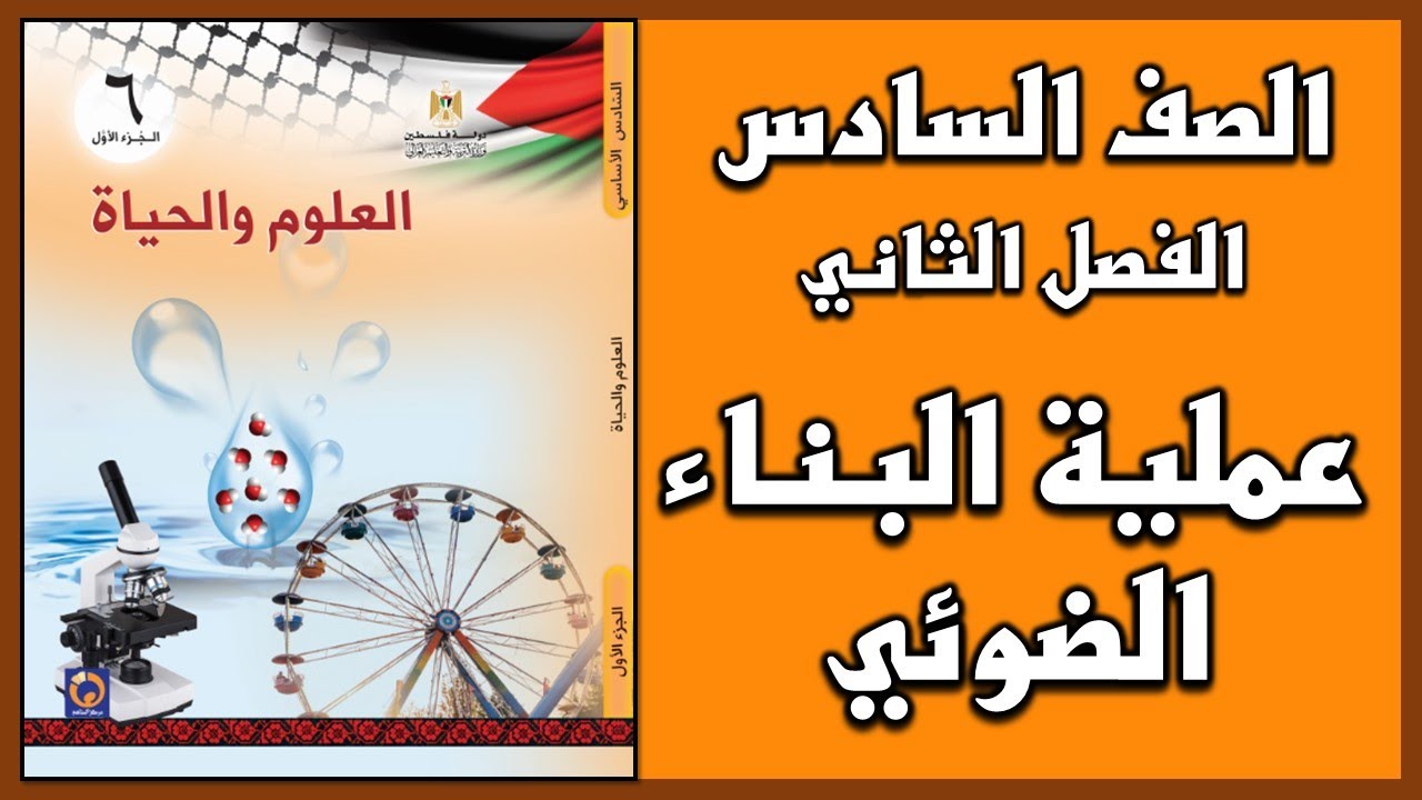 شرح و حل أسئلة  درس  عملية البناء الضوئي  | العلوم | الصف السادس | الفصل الثاني