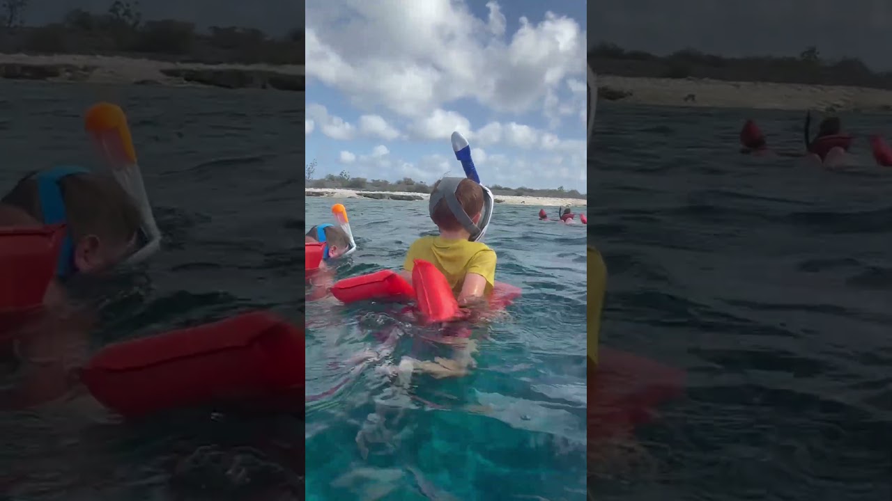 Bonaire- Sea Cow Excursion #adventure #snorkel #bonaire #cruise #excursions