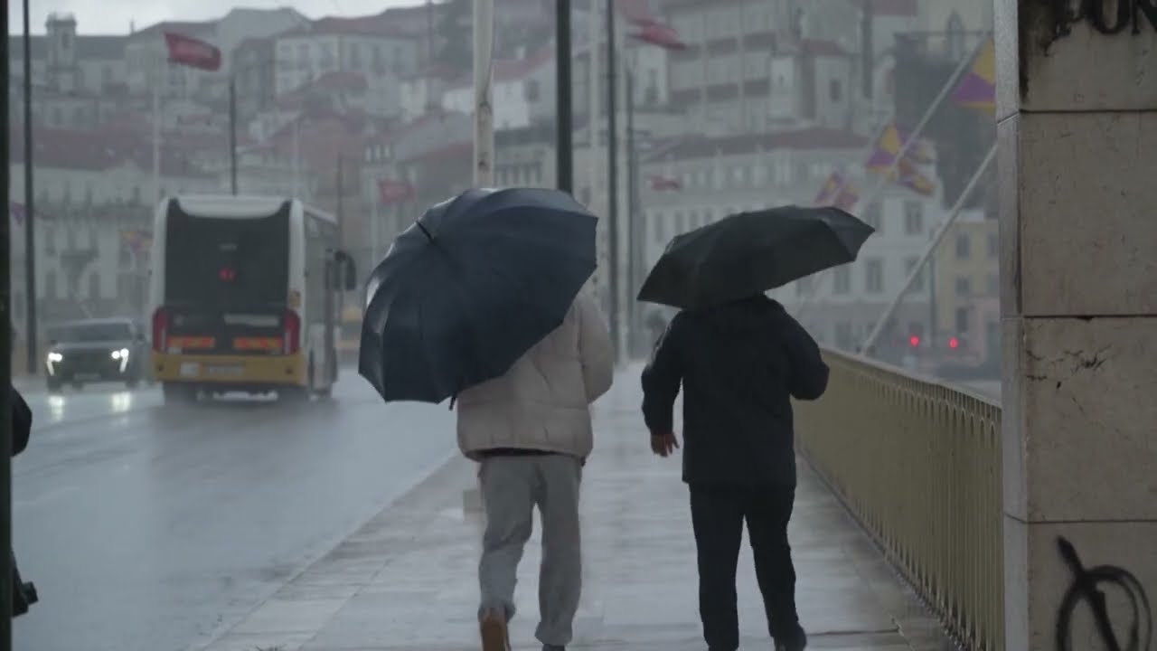 Cáritas de Leiria recebe mais de 1,5 milhões de euros para apoiar vítimas das tempestades