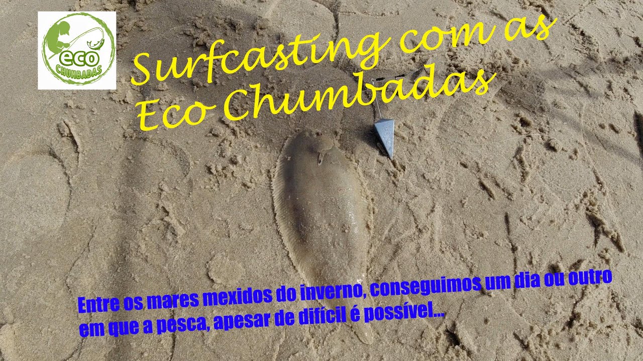 Surfcasting - a pescar com Ecochumbadas