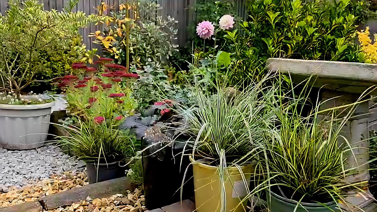 UK October autumn garden tour,  USDA garden Zone 9a