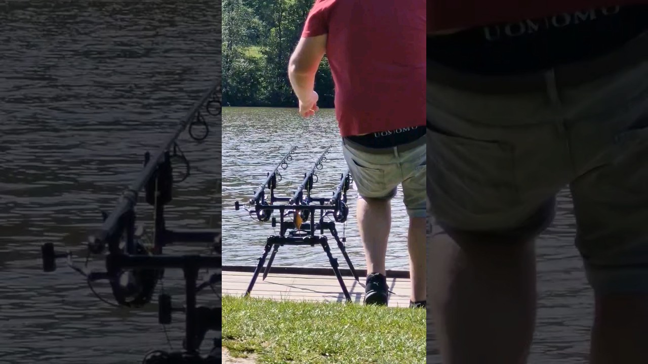 Carpfishing Austria 2024 / Karpfenangeln #carpfishing #carp #karpfen #foryou #newpost #run #angeln