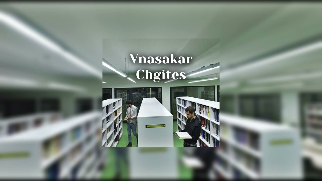 VnasaKar - Chgites (Instrumental)