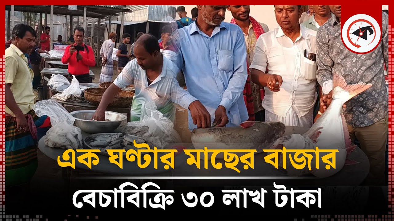 এক ঘণ্টার মাছের বাজার, ৩০ লাখ টাকার বেচাকেনা | Rajbari Fish Market | Kalbela